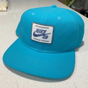 Nike SB SnapBack